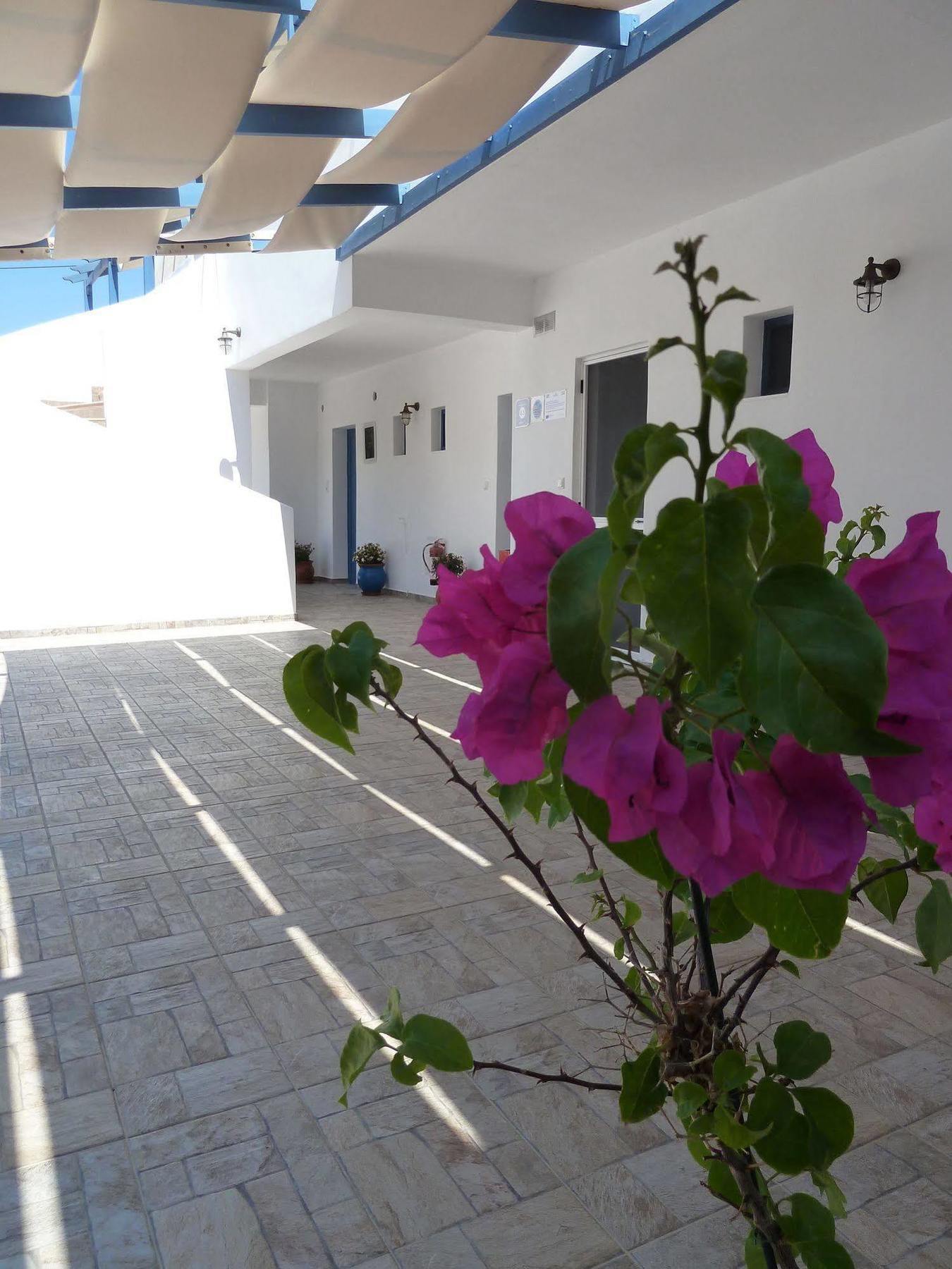 Dedes Apartments Skala  Exterior photo